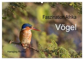 Faszination Afrika – Vögel (Wandkalender 2024 DIN A2 quer), CALVENDO Monatskalender von www.hjr-fotografie.de,  www.hjr-fotografie.de