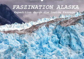 FASZINATION ALASKA Expedition durch die Inside Passage (Wandkalender 2021 DIN A2 quer) von Junio,  Michele