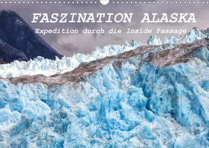 FASZINATION ALASKA Expedition durch die Inside Passage (Wandkalender 2021 DIN A3 quer) von Junio,  Michele