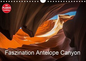 Faszination Antelope Canyon (Wandkalender 2019 DIN A4 quer) von Potratz,  Andrea