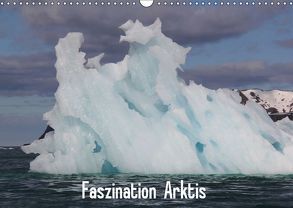 Faszination Arktis (Wandkalender 2019 DIN A3 quer) von Springer,  Heike