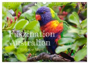 Faszination Australien – Welt der Vögel (Wandkalender 2024 DIN A3 quer), CALVENDO Monatskalender von Anders,  Holm