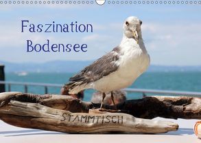 Faszination Bodensee (Wandkalender 2019 DIN A3 quer) von Raab,  Karsten-Thilo