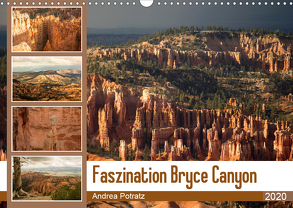 Faszination Bryce Canyon (Wandkalender 2020 DIN A3 quer) von Potratz,  Andrea