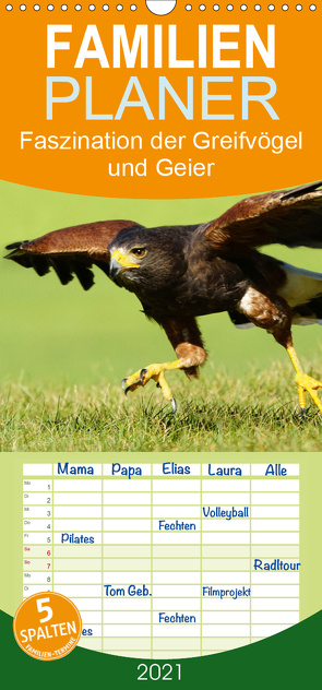 Faszination der Greifvögel und Geier – Familienplaner hoch (Wandkalender 2021 , 21 cm x 45 cm, hoch) von Müller,  Erika