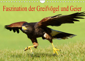 Faszination der Greifvögel und Geier (Wandkalender 2022 DIN A4 quer) von Müller,  Erika