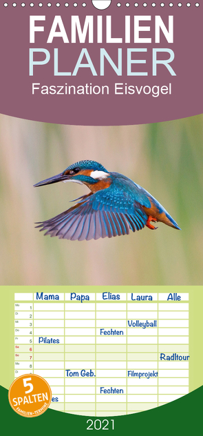 Faszination Eisvogel – Familienplaner hoch (Wandkalender 2021 , 21 cm x 45 cm, hoch) von Martin,  Wilfried