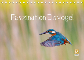 Faszination Eisvogel (Tischkalender 2023 DIN A5 quer) von Martin,  Wilfried