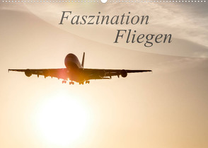 Faszination Fliegen (Wandkalender 2023 DIN A2 quer) von Estorf,  Tom