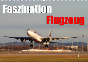 Faszination Flugzeug (Wandkalender 2023 DIN A2 quer) von Philipp,  Daniel