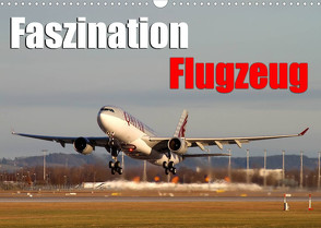 Faszination Flugzeug (Wandkalender 2023 DIN A3 quer) von Philipp,  Daniel