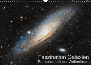 Faszination Galaxien Formenvielfalt der Welteninseln (Wandkalender 2023 DIN A3 quer) von Kai Wiechen,  Dr.