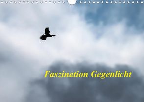 Faszination Gegenlicht (Wandkalender 2021 DIN A4 quer) von Martin (GDT),  Wilfried