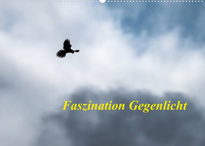 Faszination Gegenlicht (Wandkalender 2022 DIN A2 quer) von Martin (GDT),  Wilfried