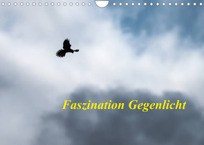 Faszination Gegenlicht (Wandkalender 2022 DIN A4 quer) von Martin (GDT),  Wilfried