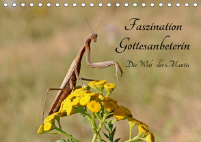 Faszination Gottesanbeterin – Die Welt der Mantis (Tischkalender 2021 DIN A5 quer) von juehust