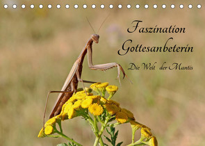 Faszination Gottesanbeterin – Die Welt der Mantis (Tischkalender 2023 DIN A5 quer) von juehust