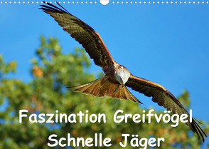 Faszination Greifvögel Schnelle Jäger (Wandkalender 2023 DIN A3 quer) von Klapp,  Lutz