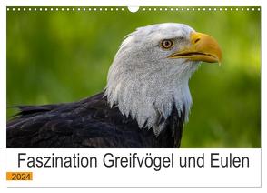 Faszination Greifvögel und Eulen (Wandkalender 2024 DIN A3 quer), CALVENDO Monatskalender von Weiter,  Manuel