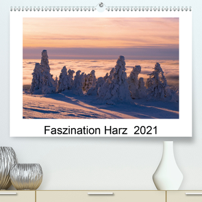 Faszination Harz 2021 (Premium, hochwertiger DIN A2 Wandkalender 2021, Kunstdruck in Hochglanz) von Maywald,  Armin