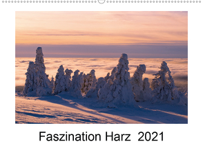 Faszination Harz 2021 (Wandkalender 2021 DIN A2 quer) von Maywald,  Armin