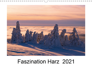 Faszination Harz 2021 (Wandkalender 2021 DIN A3 quer) von Maywald,  Armin