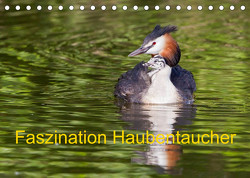 Faszination Haubentaucher (Tischkalender 2023 DIN A5 quer) von Martin,  Wilfried