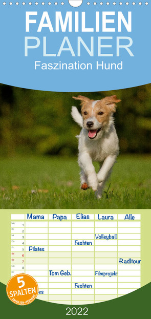 Faszination Hund – Familienplaner hoch (Wandkalender 2022 , 21 cm x 45 cm, hoch) von Bischof,  Melanie, Bischof,  Tierfotografie