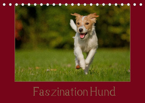 Faszination Hund (Tischkalender 2022 DIN A5 quer) von Bischof,  Melanie, Bischof,  Tierfotografie