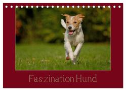 Faszination Hund (Tischkalender 2024 DIN A5 quer), CALVENDO Monatskalender von Bischof,  Tierfotografie Bischof,  Melanie