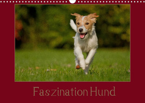 Faszination Hund (Wandkalender 2022 DIN A3 quer) von Bischof,  Melanie, Bischof,  Tierfotografie