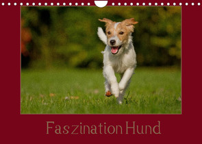 Faszination Hund (Wandkalender 2022 DIN A4 quer) von Bischof,  Melanie, Bischof,  Tierfotografie