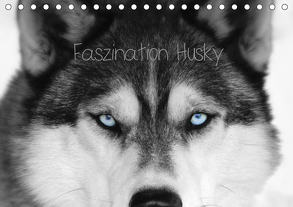 Faszination Husky (Tischkalender 2019 DIN A5 quer) von Snow Wolf Valley,  of