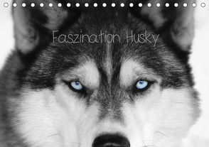 Faszination Husky (Tischkalender 2021 DIN A5 quer) von Snow Wolf Valley,  of