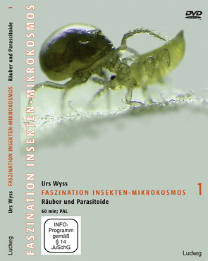 Faszination Insekten-Mikrokosmos 1 Räuber und Parasitoide von Wyss,  Urs