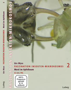 Faszination Insekten-Mikrokosmos 2 Mord im Apfelbaum von Wyss,  Urs