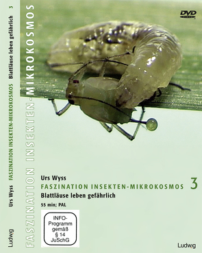 Faszination Insekten-Mikrokosmos 3 Blattläuse leben gefährlich von Wyss,  Urs