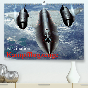 Faszination Kampfflugzeuge (Premium, hochwertiger DIN A2 Wandkalender 2021, Kunstdruck in Hochglanz) von Stanzer,  Elisabeth