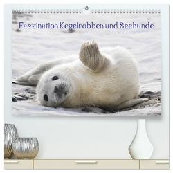 Faszination Kegelrobben und Seehunde 2024 (hochwertiger Premium Wandkalender 2024 DIN A2 quer), Kunstdruck in Hochglanz von Maywald,  Armin