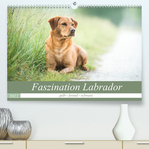 Faszination Labrador – gelb, foxred, schwarz (Premium, hochwertiger DIN A2 Wandkalender 2022, Kunstdruck in Hochglanz) von Strunz,  Cornelia