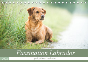 Faszination Labrador – gelb, foxred, schwarz (Tischkalender 2022 DIN A5 quer) von Strunz,  Cornelia