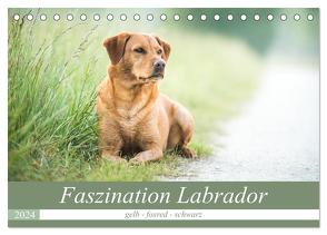 Faszination Labrador – gelb, foxred, schwarz (Tischkalender 2024 DIN A5 quer), CALVENDO Monatskalender von Strunz,  Cornelia