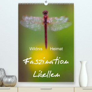 Faszination Libellen – Wildnis Heimat (Premium, hochwertiger DIN A2 Wandkalender 2021, Kunstdruck in Hochglanz) von BÖHME,  Ferry