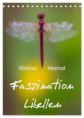 Faszination Libellen – Wildnis Heimat (Tischkalender 2024 DIN A5 hoch), CALVENDO Monatskalender von BÖHME,  Ferry