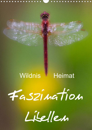 Faszination Libellen – Wildnis Heimat (Wandkalender 2022 DIN A3 hoch) von BÖHME,  Ferry