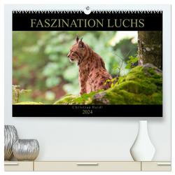 Faszination Luchs (hochwertiger Premium Wandkalender 2024 DIN A2 quer), Kunstdruck in Hochglanz von www.chphotography.de,  www.chphotography.de