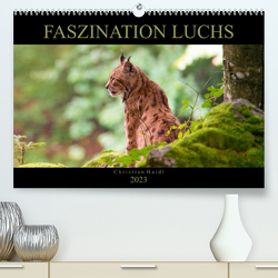 Faszination Luchs (Premium, hochwertiger DIN A2 Wandkalender 2023, Kunstdruck in Hochglanz) von www.chphotography.de