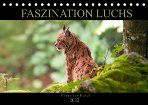 Faszination Luchs (Tischkalender 2022 DIN A5 quer) von www.chphotography.de