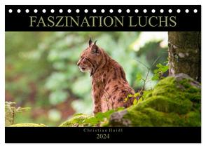 Faszination Luchs (Tischkalender 2024 DIN A5 quer), CALVENDO Monatskalender von www.chphotography.de,  www.chphotography.de