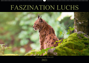 Faszination Luchs (Wandkalender 2021 DIN A2 quer) von www.chphotography.de